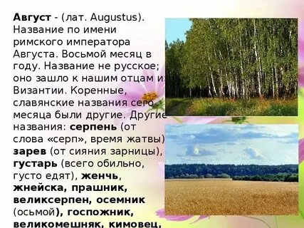 Август паш