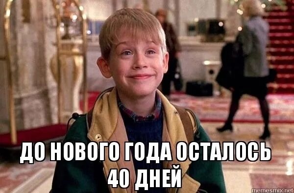 До нового года осталось 70 дней. До нового года осталось 40 дней. до нового года осталось 40 дней прикольные. до нового года осталось 40 дней картинки. до нового года осталось 40 дней прикольные картинки.