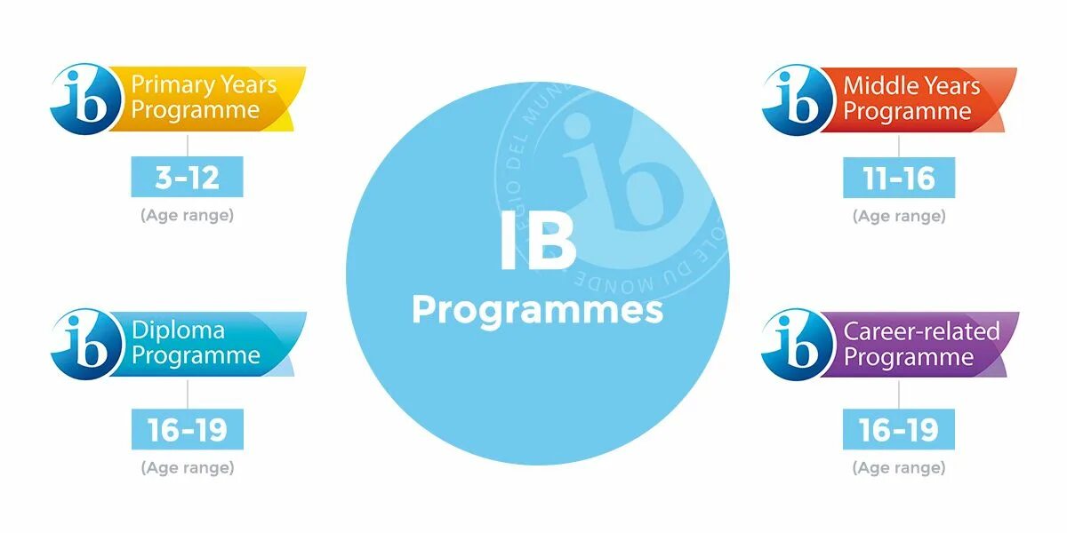 Ib курс