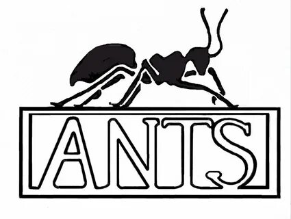 Слово ant