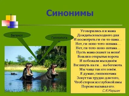 Малахольный синоним