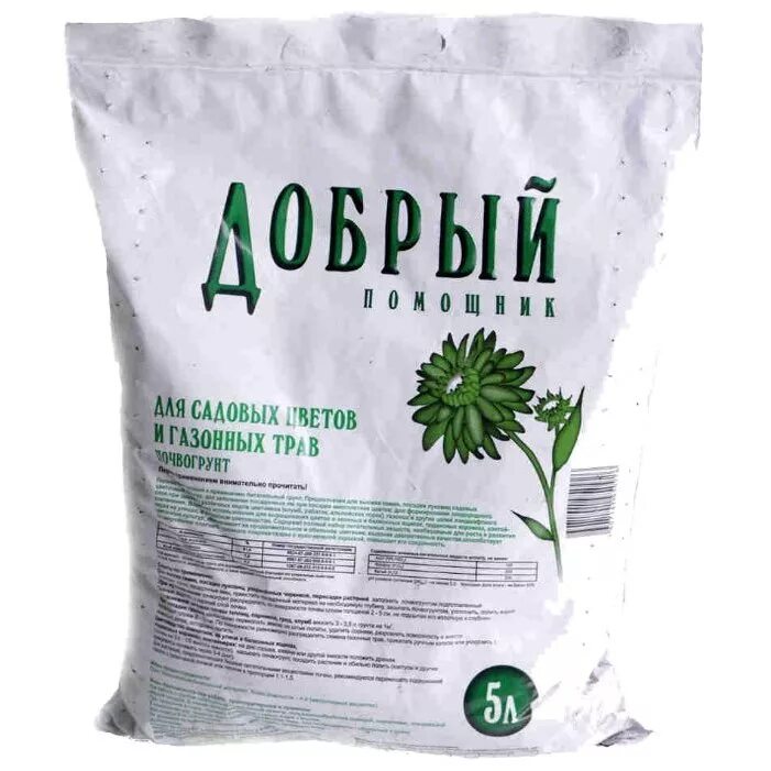 Мятлик луговой (poa pratensis). Полевица побегоносная для газона. Голландская газонная трава. Трава газон. Газон 5 трав.