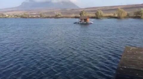 Золотой карп калаборка