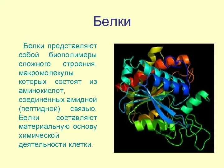 Белки представляют собой. Что представляет собой белок. Белки представляют собой биополимеры. Белки это биополимеры состоящие из. Биополимеры крови