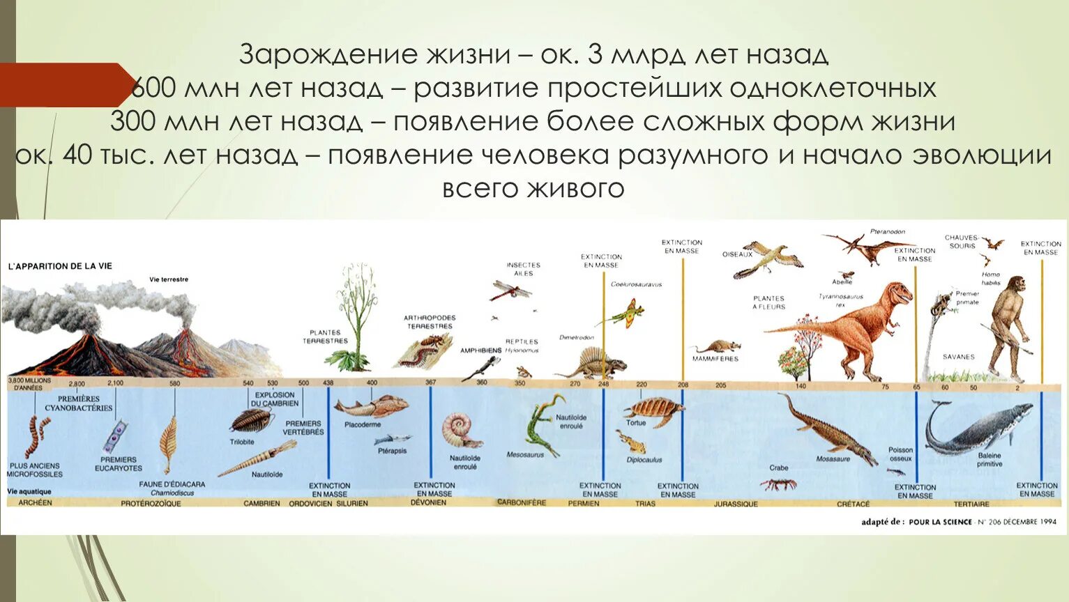 Сколько лет назад зародилась жизнь. Зарождение жизни 300 миллионов лет назад. Зарождение жизни 600 миллионов лет назад. Эволюции сложных форм жизни.. Этапы зарождения жизни.