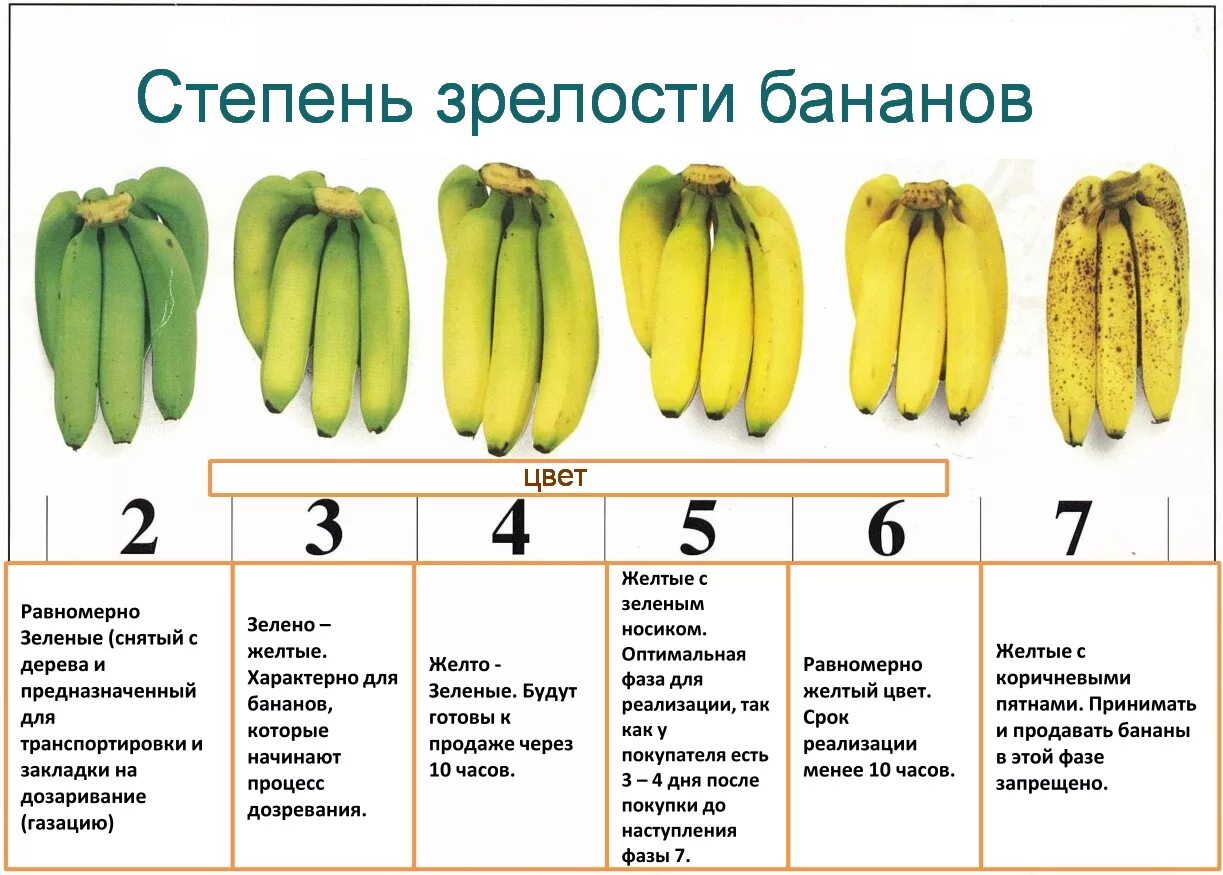 Таблица спелости банана. Таблица зрелости банана. Степень зрелости бананов. Степень созревания бананов. Банан хе