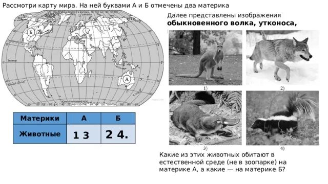 Далее представлены изображения. Материки и животные ВПР. ВПР животные. Континенты ВПР. Распределите представленные изображения по соответствующим группам