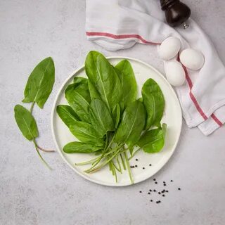 Женский щавель