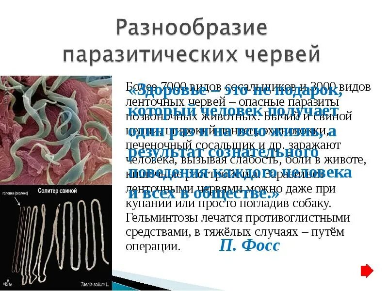 Используя содержание текста паразитические черви