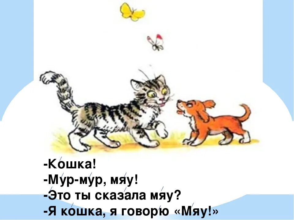 Котик скажи мяу