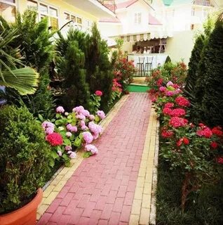 Цветы лазаревское ярославль