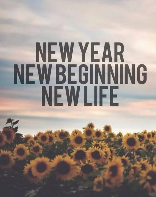 Find new life. The New Life. New Life фото. New Life loading. Happy New Life картинки.