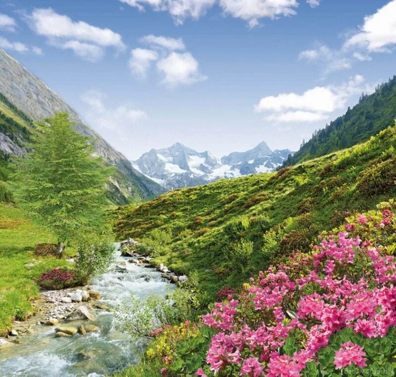 Элегия верх 30х60. Элегия х. Шкаф мцн элегия 12. Фотообои горная элегия. Плитка венеция axima.