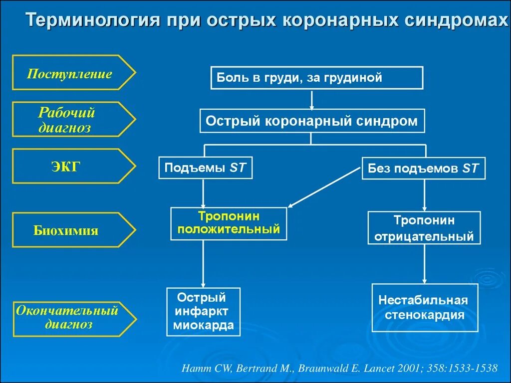 Клинические рекомендации ковид последняя. Алгоритм диагностики острого коронарного синдрома. Алгоритм диагностики Окс. Острый коронарный синдром клинические рекомендации. Врачебная тактика при Окс.