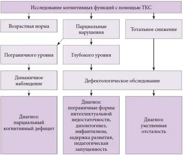 Развитие когнитивных функций у детей