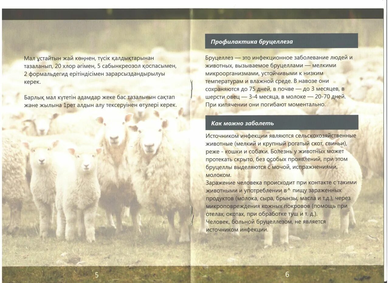 Наставление по диагностике бруцеллеза