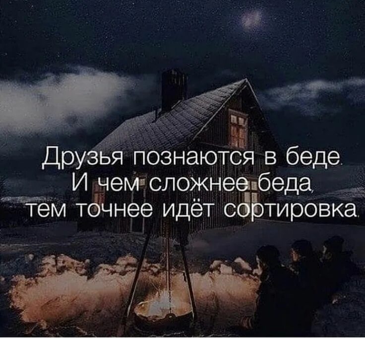 Друзья познаются в беде. Человек познается в беде. Друзья познаются в беде цитаты. Друзя позноются в беде.