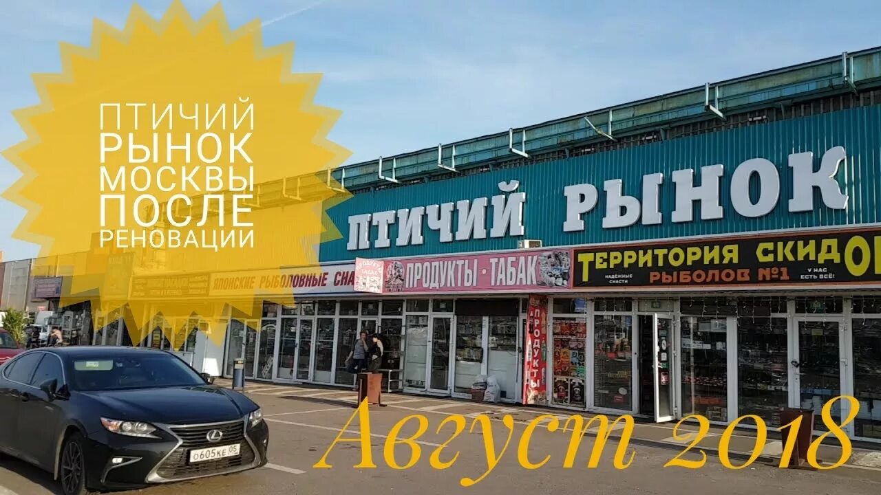Птичьем рынке какое число. Птичий рынок садовод. птичий рынок в москве. садовод птичий рынок москва. павильоны на птичьем рынке.
