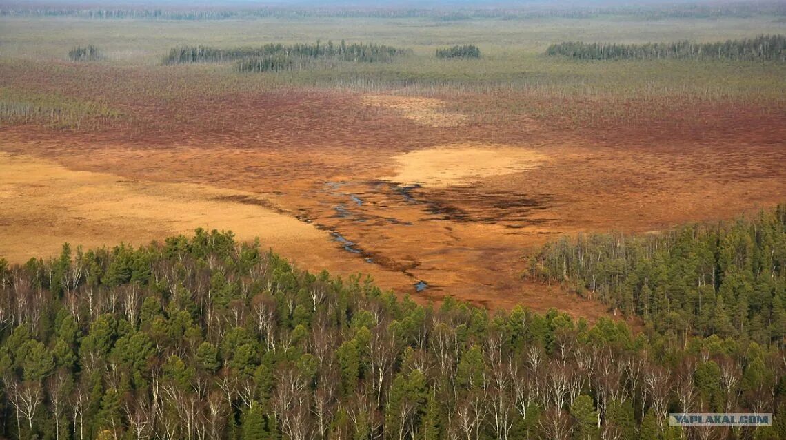 Почвы Западно сибирской равнины. Тайга Западной Сибири почвы. Почвы Восточно сибирской тайги. Почвы тайги Восточной Сибири. Средняя тайга почвы