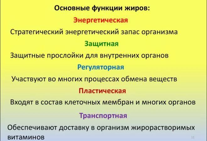 Жиры функции в организме