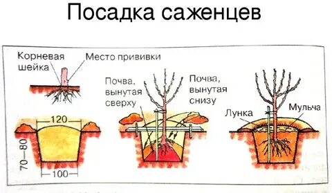Московская посадка
