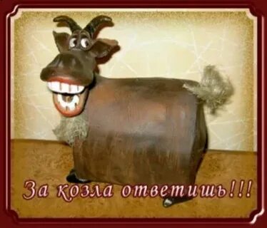 Тверь почему козел