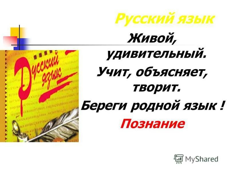 международный день родного языка. тургенев берегите наш язык наш прекрасный русский язык. берегите родной язык. берегите родной русский язык. берегите родной язык.