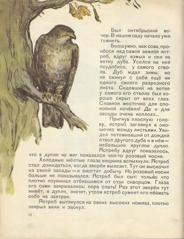 Бианки зимняя сказка несказка. Бианки зимняя сказка несказка