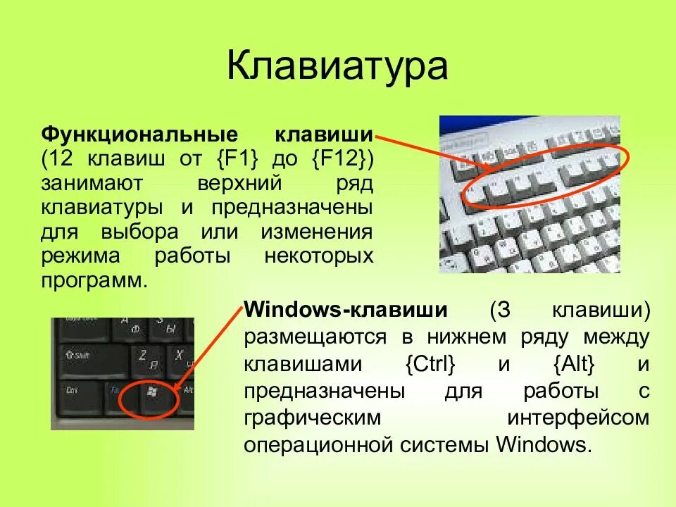 Клавиша f значение. Функциональные клавиши f1 – f12 предназначены для:. функциональные цифровые клавиши f1 f2. функциональные клавиши на клавиатуре. назначение функциональных клавиш.