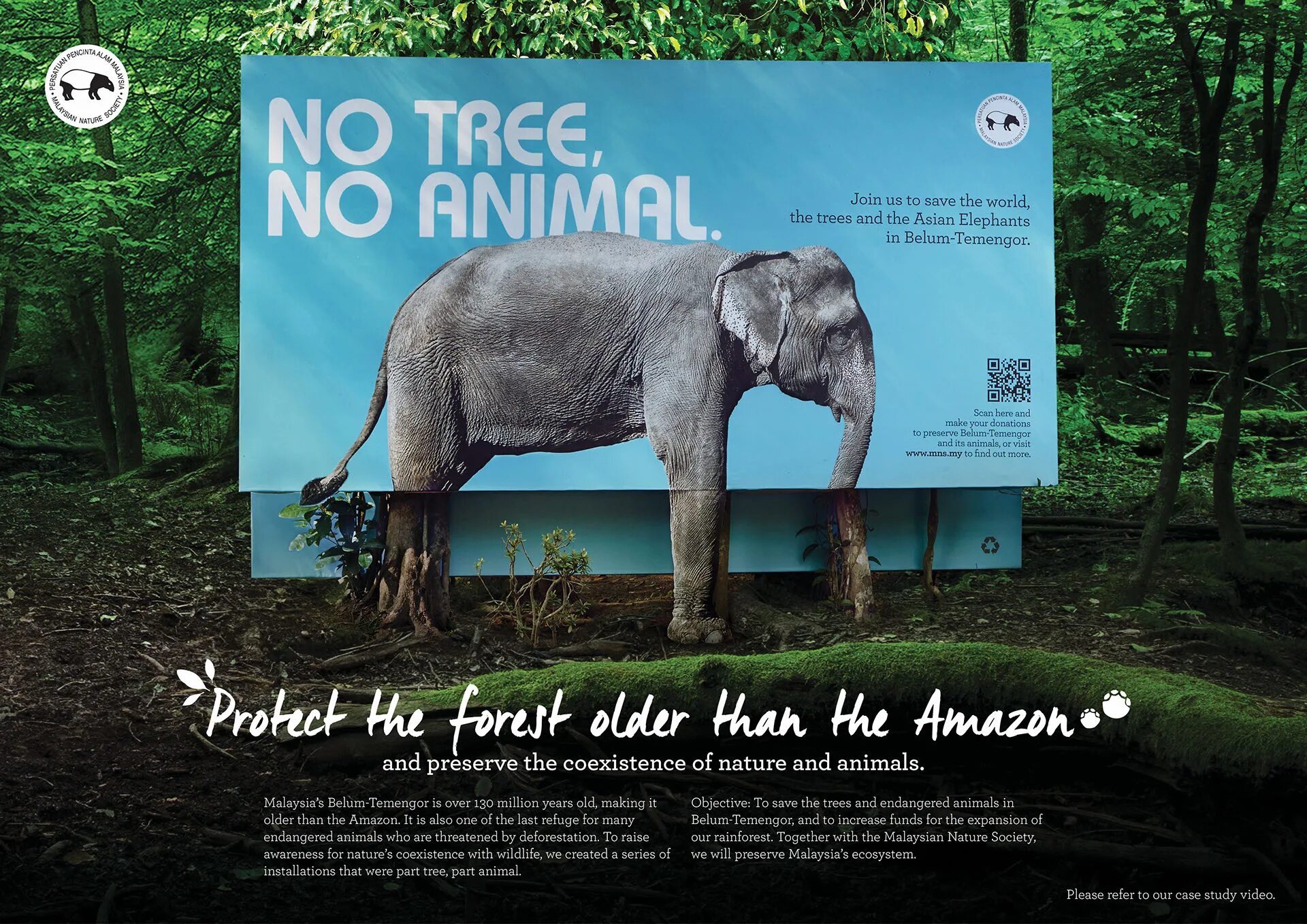Save animals. Endangered animals плакат. save animals плакат. save wildlife плакат. save endangered animals.