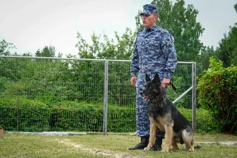 Кинологи росгвардии