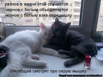 Случаться белый