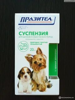 Празител для мелких пород