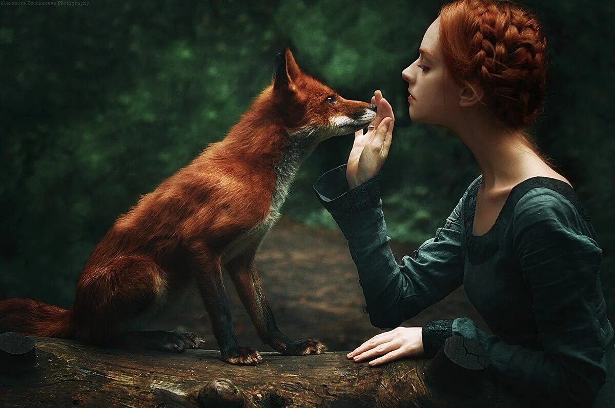 Рыжая fox. Девушка и лиса. Рыжая девочка с лисой. Рыжая девушка с лисой.