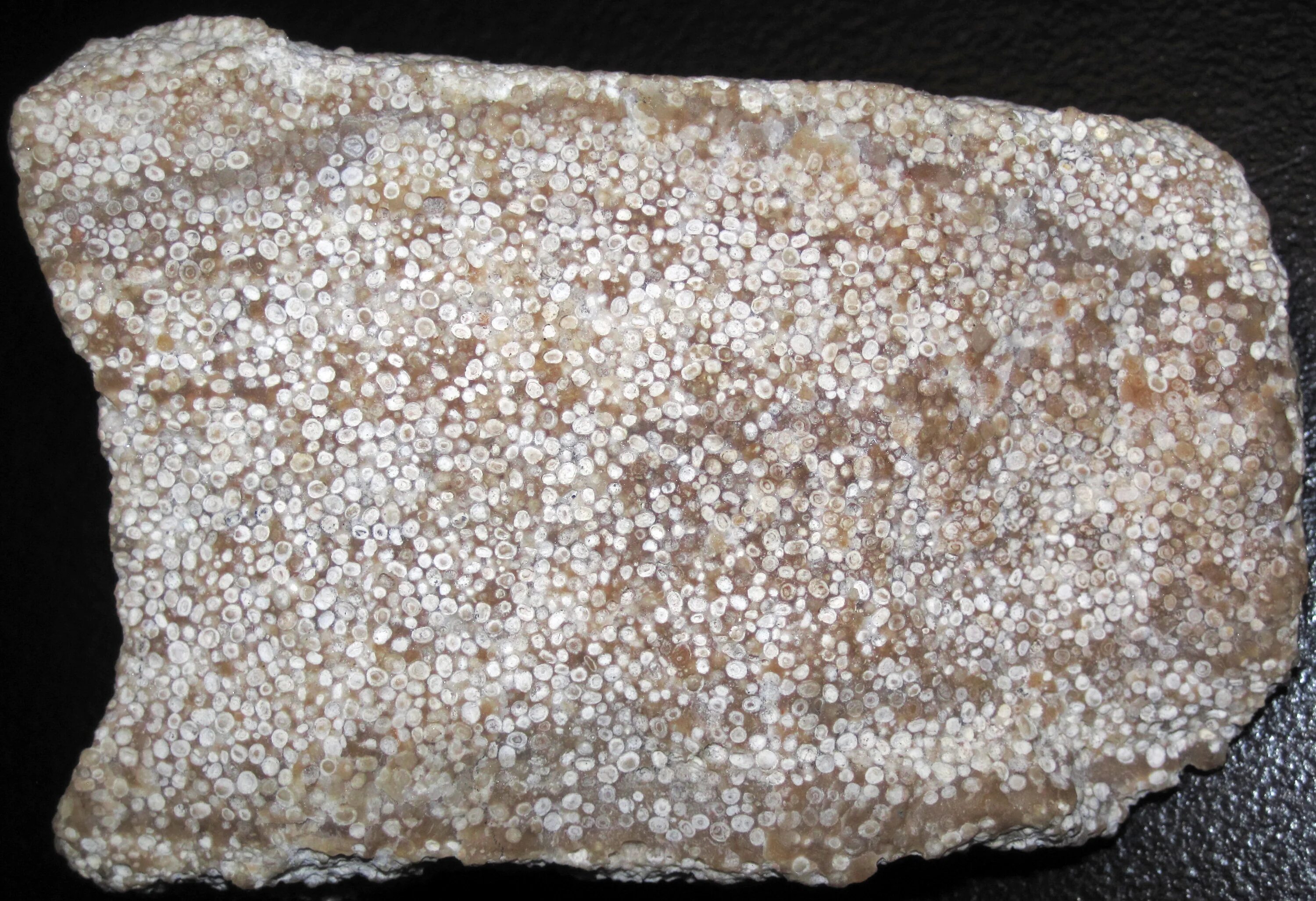 Оолитовый известняк. Оолиты минералы. Известняк оолитовый камень. Oolitic limestone. Горные породы известняк слюда