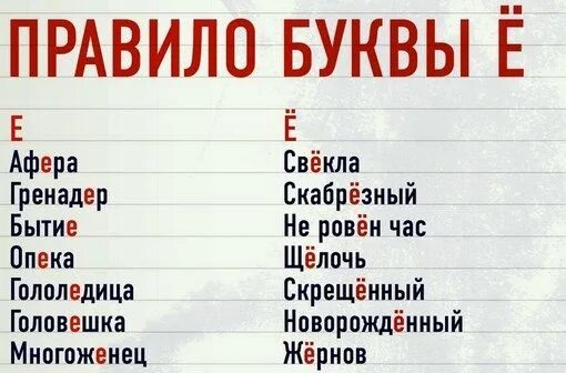 Варианты слова свекла. Как правильно свёкла или свёкла ударение в слове. Правильное ударение в слове свекла. Как правильно свекла или свёкла ударение. Свекла ударение правильное.