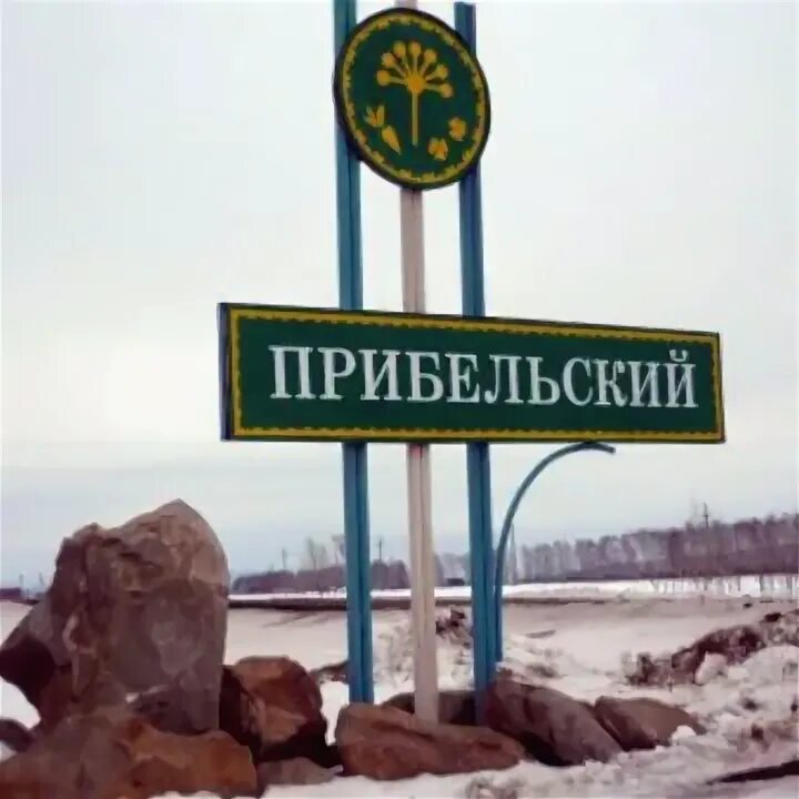 Прибельский со спутника. Прибельский башкортостан. Уфа прибельский. Мелеуз прибельская. Г мелеуз республика башкортостан магазин техвидио сервис.
