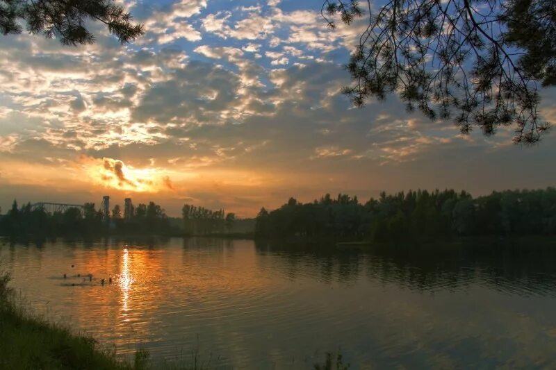 Станция павлово на неве. Поселок павлово, ленинградской обл. Новости погоды павлово на неве. Павлово на неве. Озера в павлово на неве.