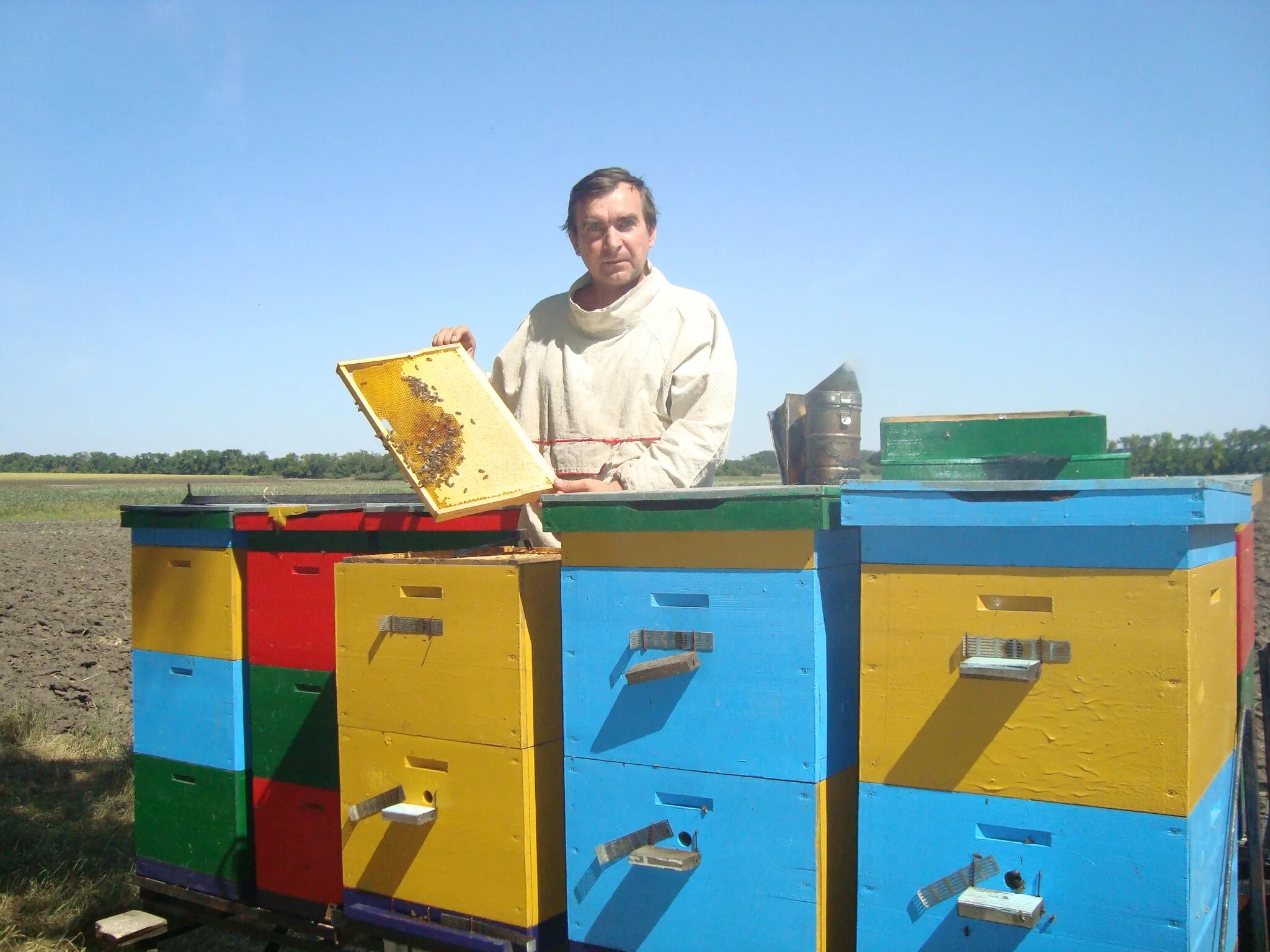 семейная пасека