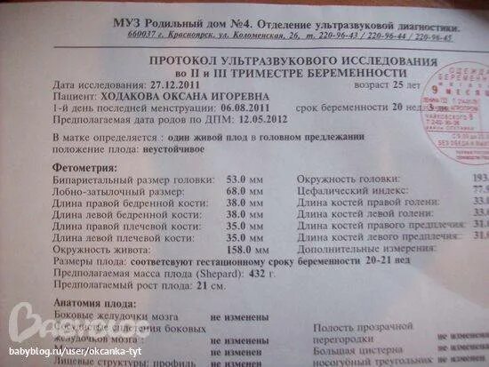 Беременность ведение роддом. Платное УЗИ по беременности. Анализы УЗИ по беременности. УЗИ перечень исследований. УЗИ платно по беременности.