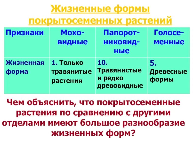 Признаки усложнения покрытосеменных. Жизненные формы моховидных. Формы покрытосеменных растений. Жизненные формы покрытосеменных. Разнообразие жизненных форм покрытосеменных.