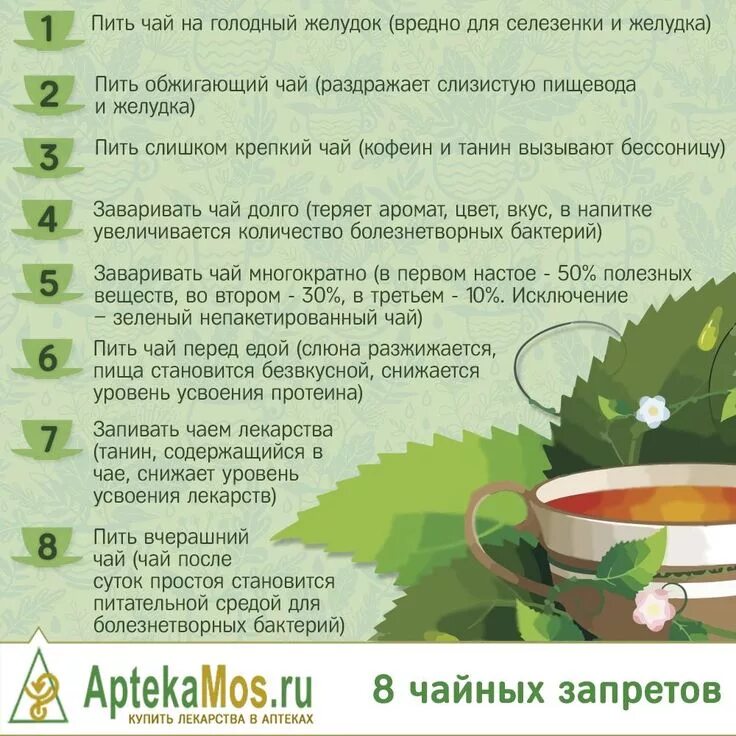Какой чай дает эффект. Зеленый чай растение. отвар для похудения. чем полезен зеленый чай. полезный чай.