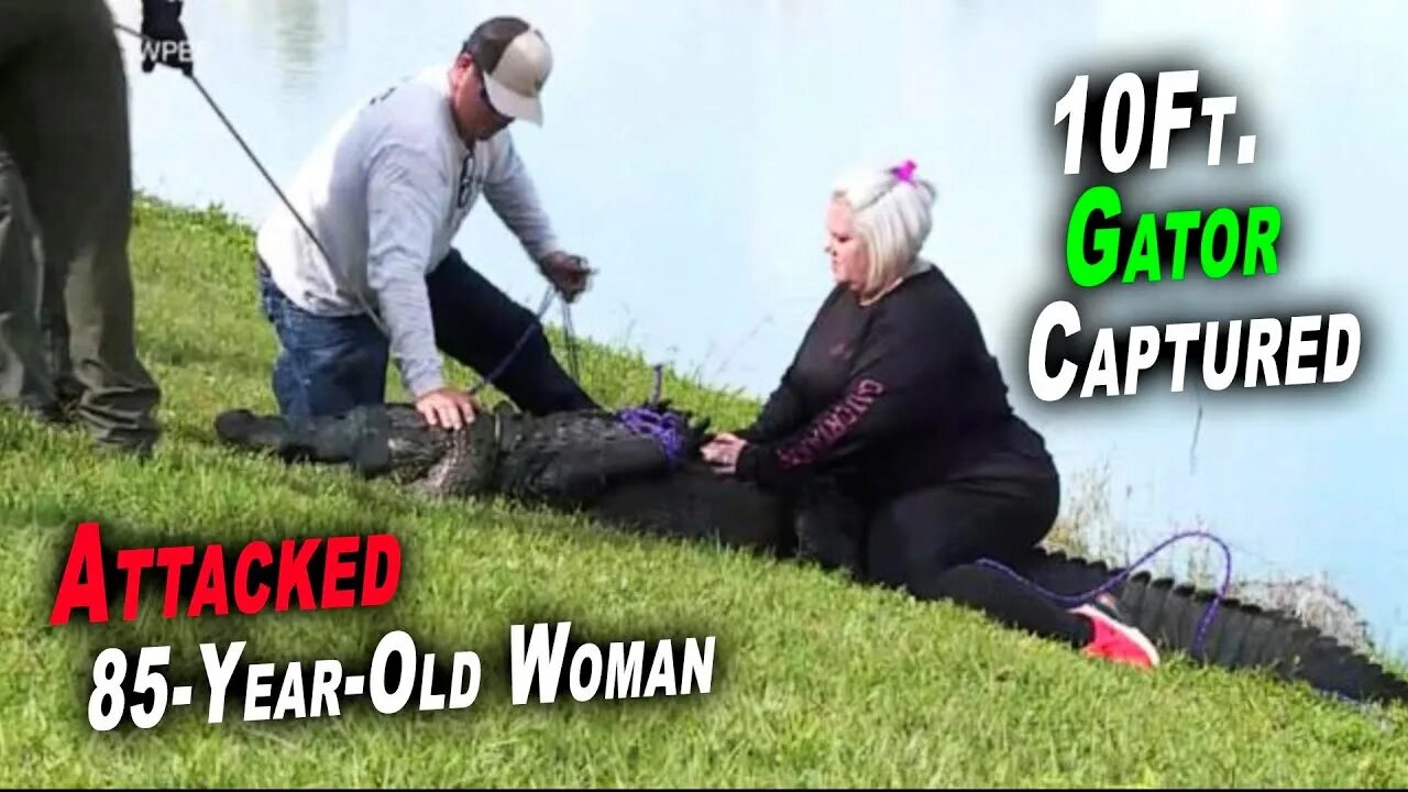 Kill older. In Florida old woman was Killed by Crocodile.