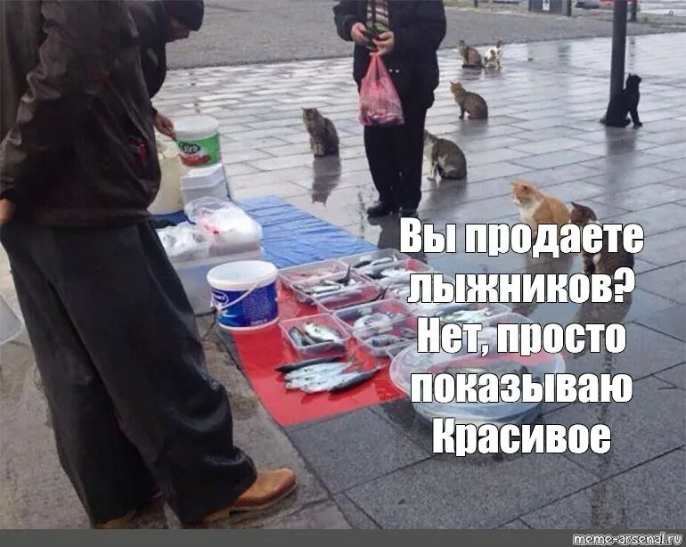 Рыбу продаете нет показываю красивое. Рыбы в коробке мем. кот за рыбов. mem рыбов продаете?. нет вобле мем.
