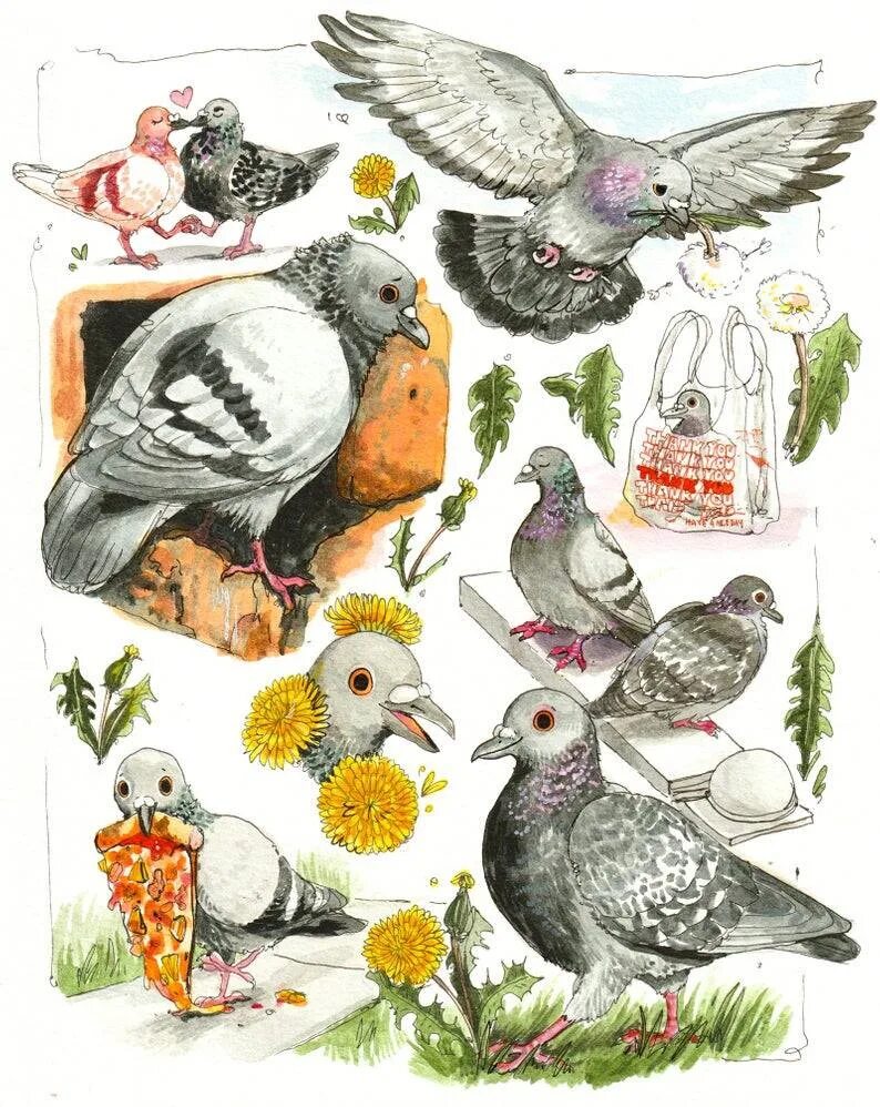 Почтовый голубь скетчинг. Голубь на каждый день. Pigeon Art. Cute Pigeon Art. Голубь каждый день