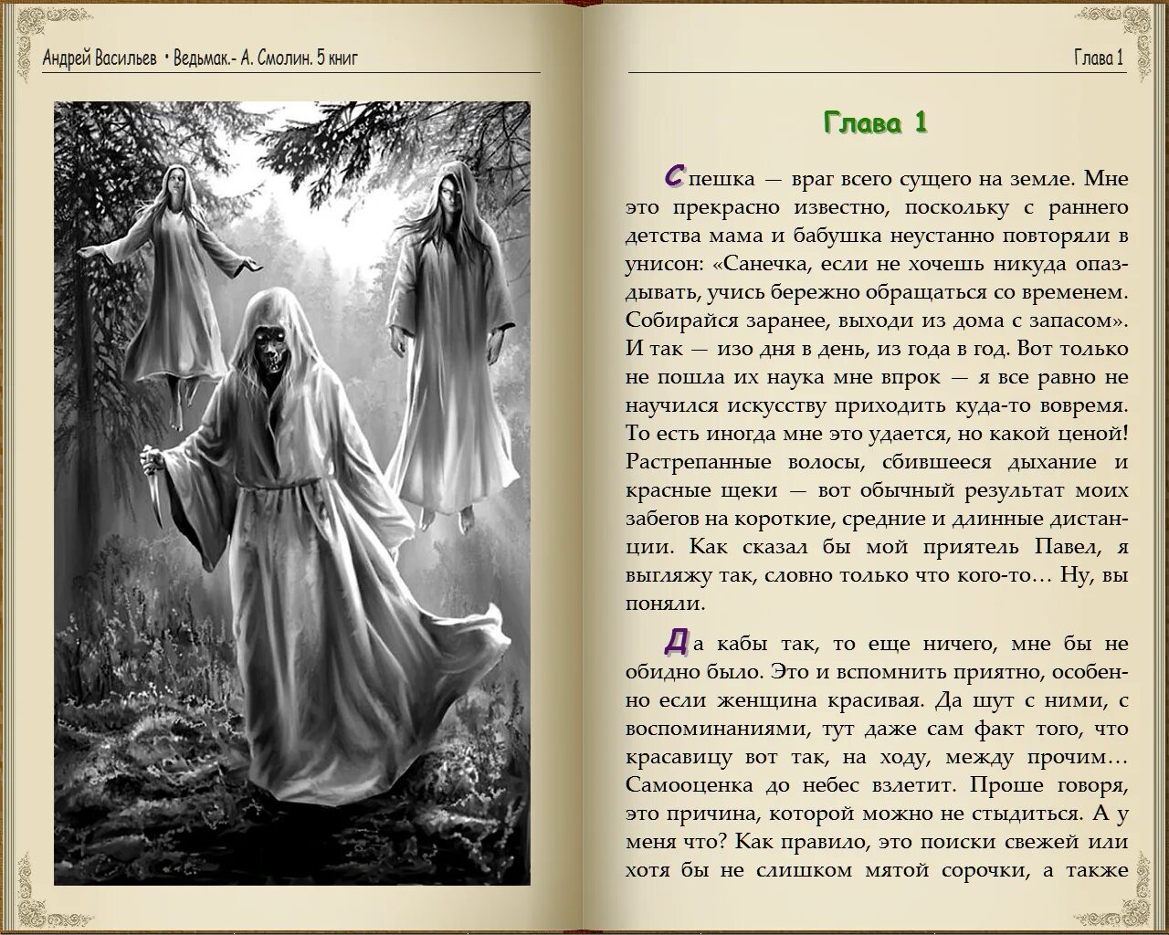 Книги смолина васильева. Описание призрака Жанны в книге Смолин Ведьмак.