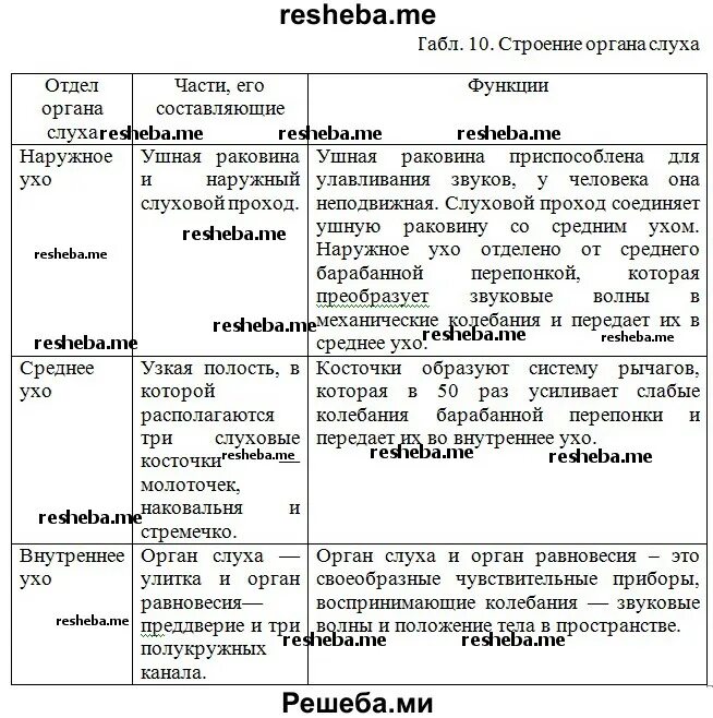 Строение анализаторов таблица. Таблица анализаторы 8 класс биология. Строение и функции анализаторов таблица. Общая характеристика анализаторов таблица.