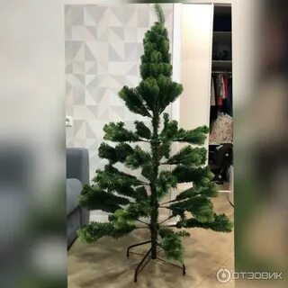 Ели клаб