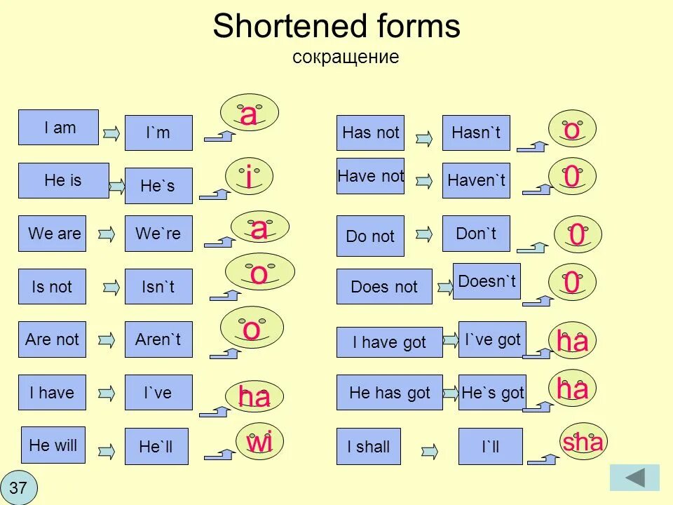 He is we слова. Am is are have has в английском языке. Have been сокращенная форма. Сокращения в английском языке we are. I ve сокращение.