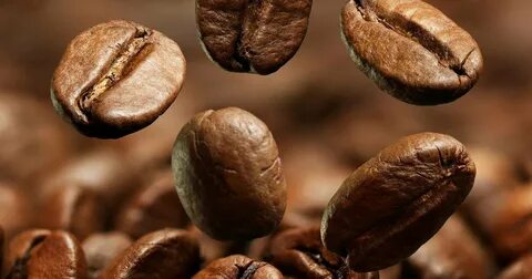 Arabica coffee